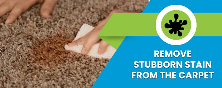 Remove Stubborn Stain from the carpet